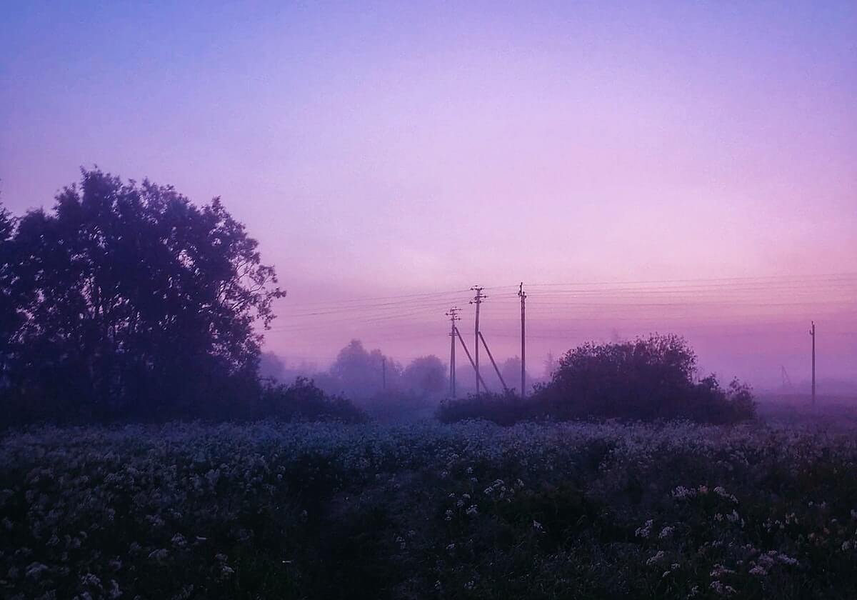 99图库-术语词典-可复核-资料库，991的图片